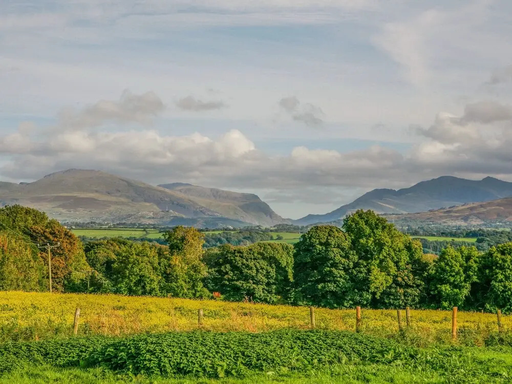 Plas Cefn Mawr