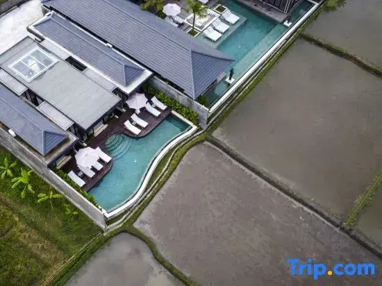 Villa Tenang – Modern 4BR, Private Pool, Ubud