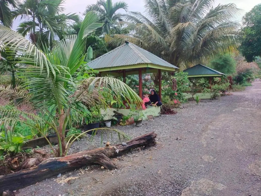 Jungle View Homestay & Guesthouse Only Stay Here Book Treking With Us