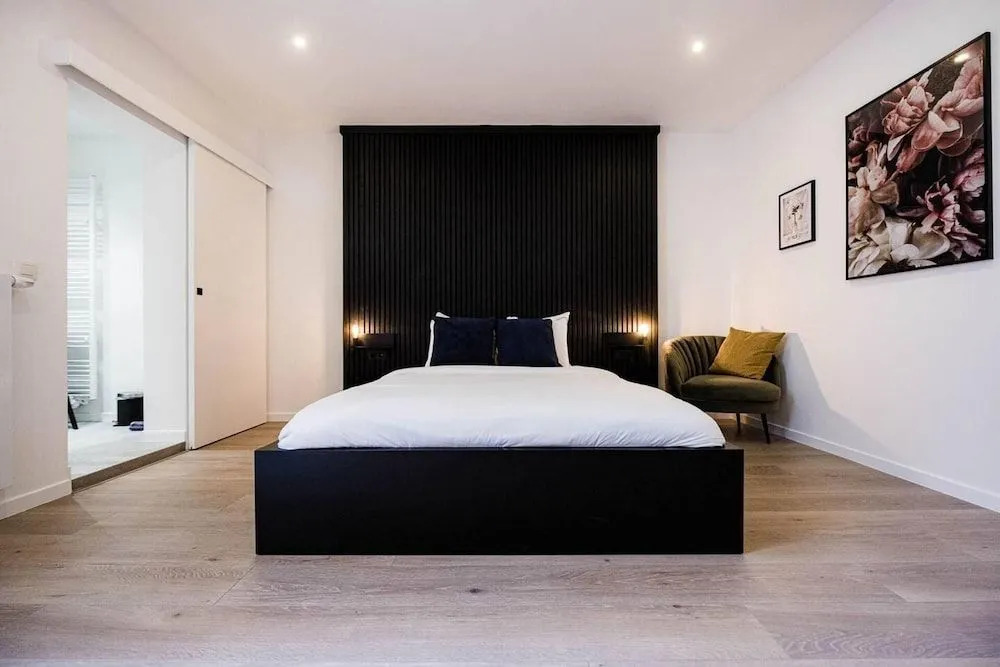 Gorgeous Apartment in old City Centre of Antwerp 1