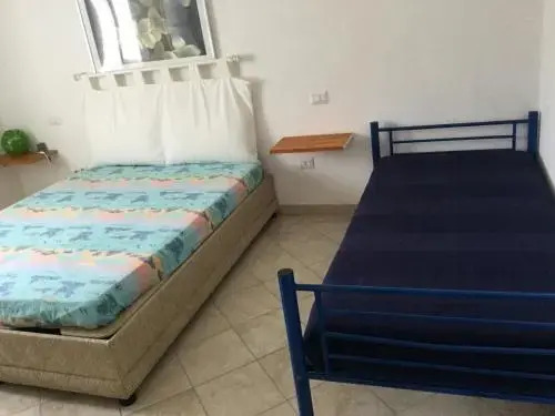 Chicco Frau