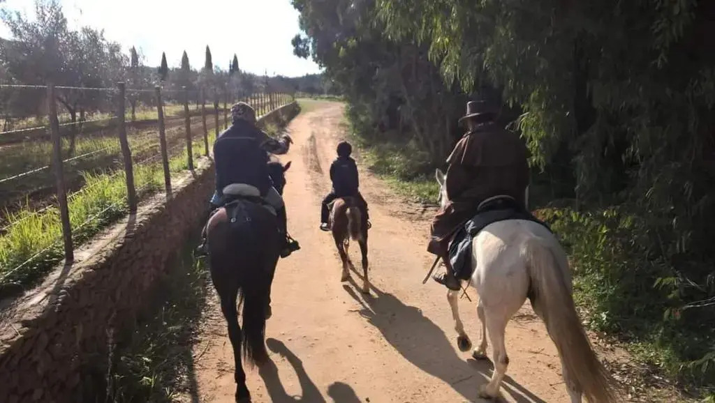 Casa Vacanza "A Muntata"