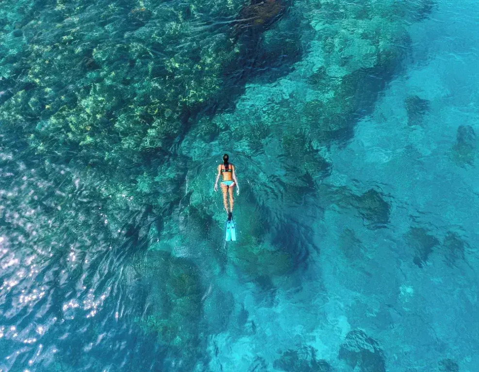 Hanifaru Beach Inn