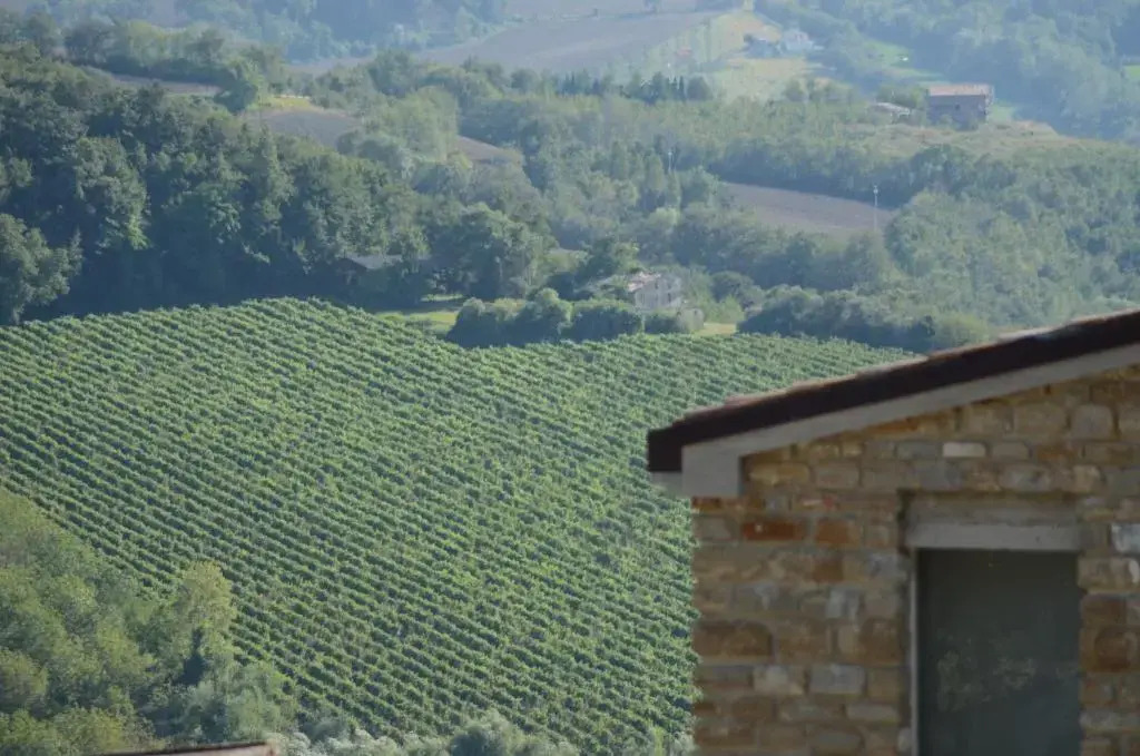 Tenuta Silente