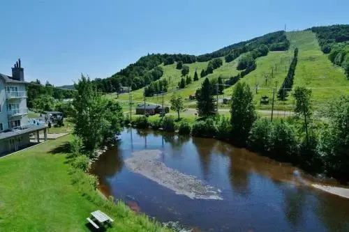 Chalet 620 Chemin du Hibou 122