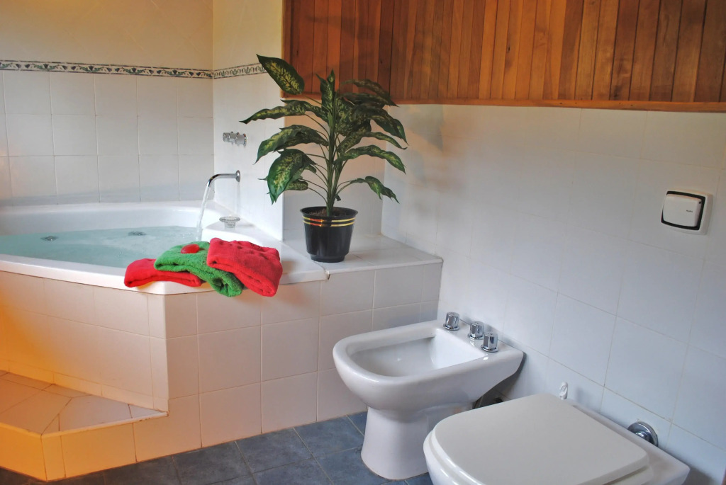 Apart Hotel del Pellin