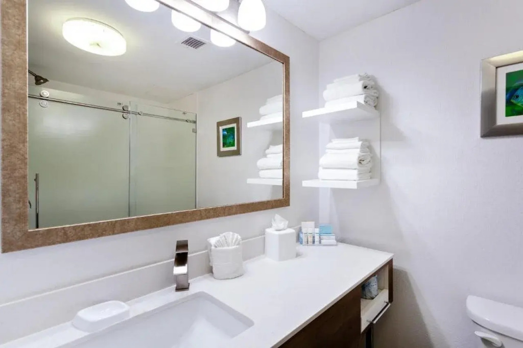 Hampton Inn by Hilton Spring Hill