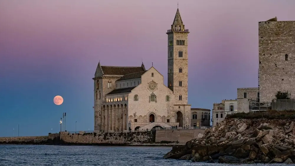 Oasi della pace