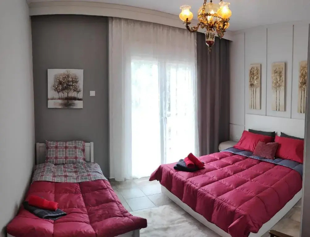 Cozy apartments