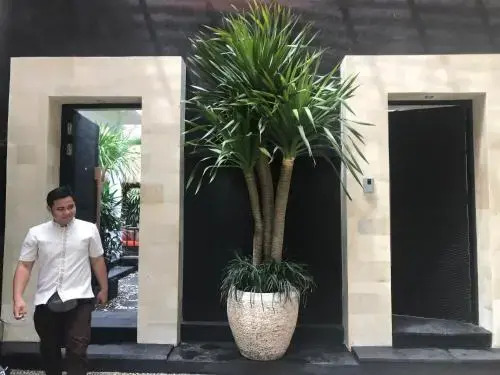 Amanputri Villa