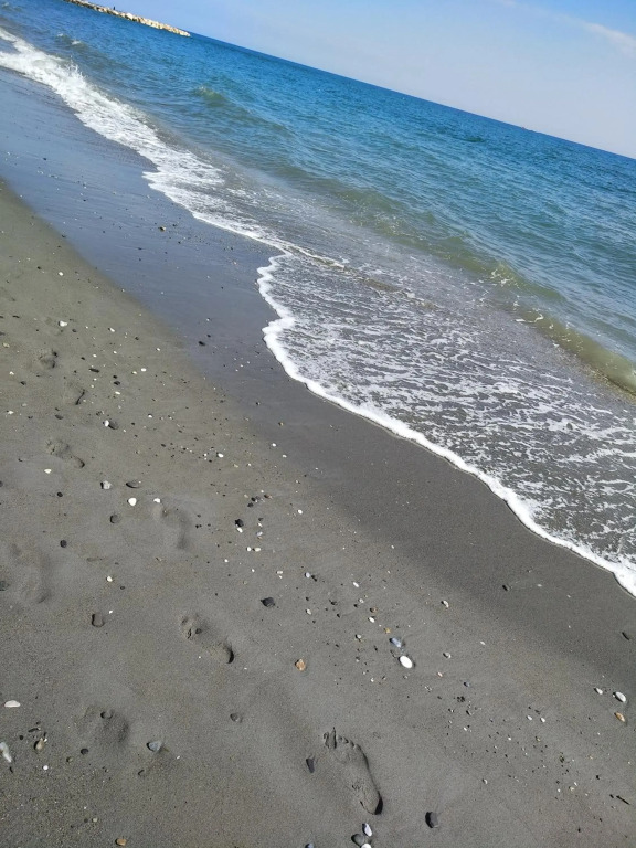 Tropicana Beach & Sun