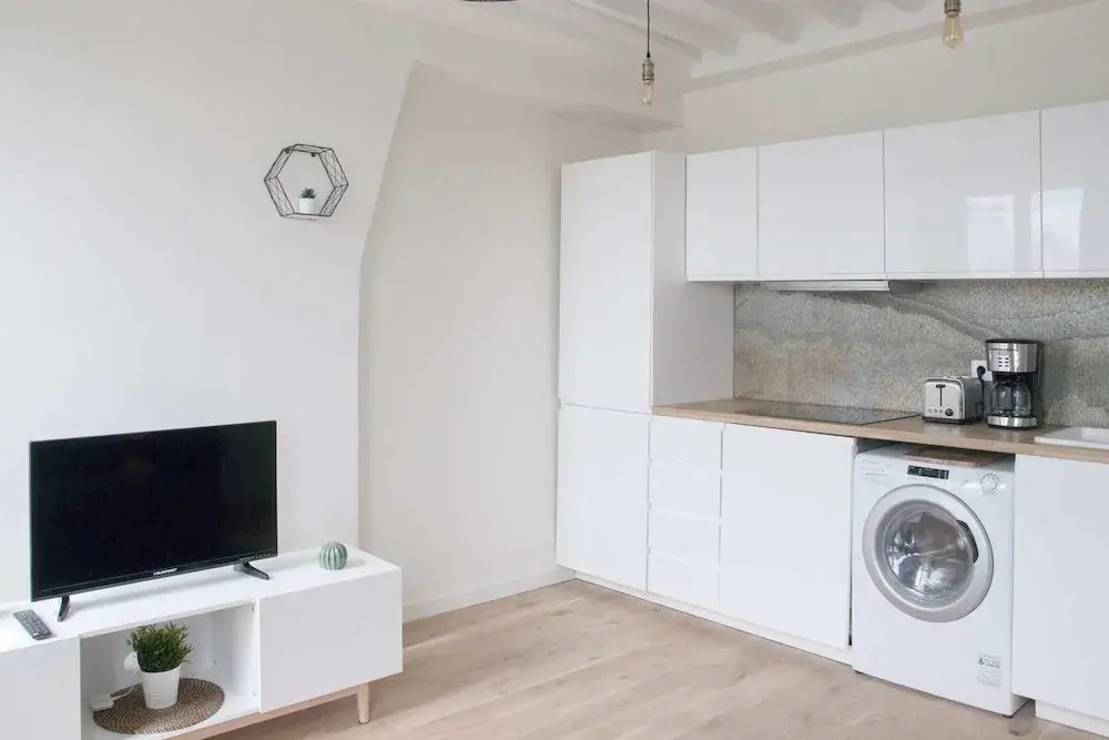 Renovated Apartment on the Outskirts of Paris