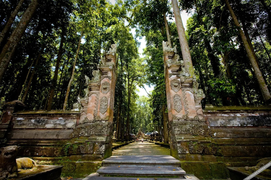 Villa Ubud Hill