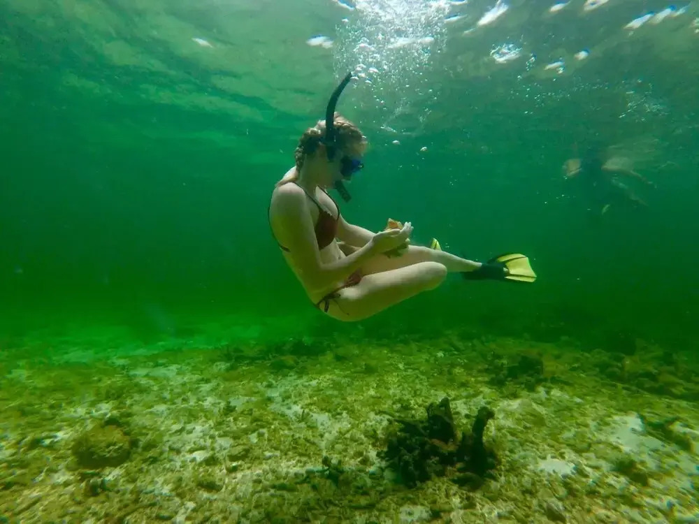 Angel Fish Cove