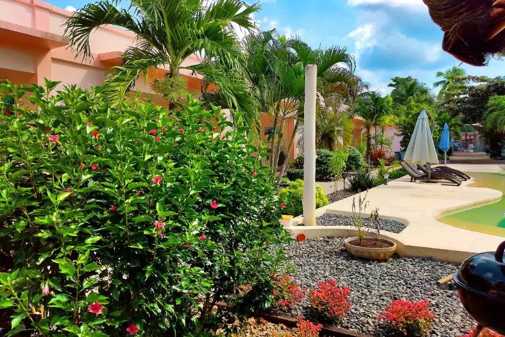 Imagine Bohol