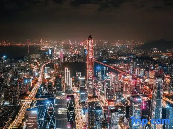 Bosiden Executive Apartment (Vanke and Songxuan Branch, Shenzhen North Station)