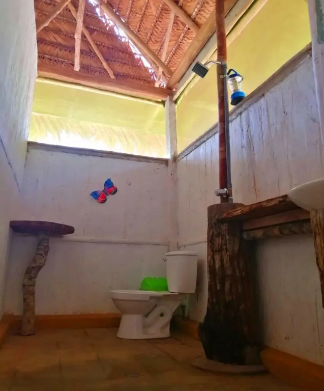 Shapshico Lodge Ayahuasca