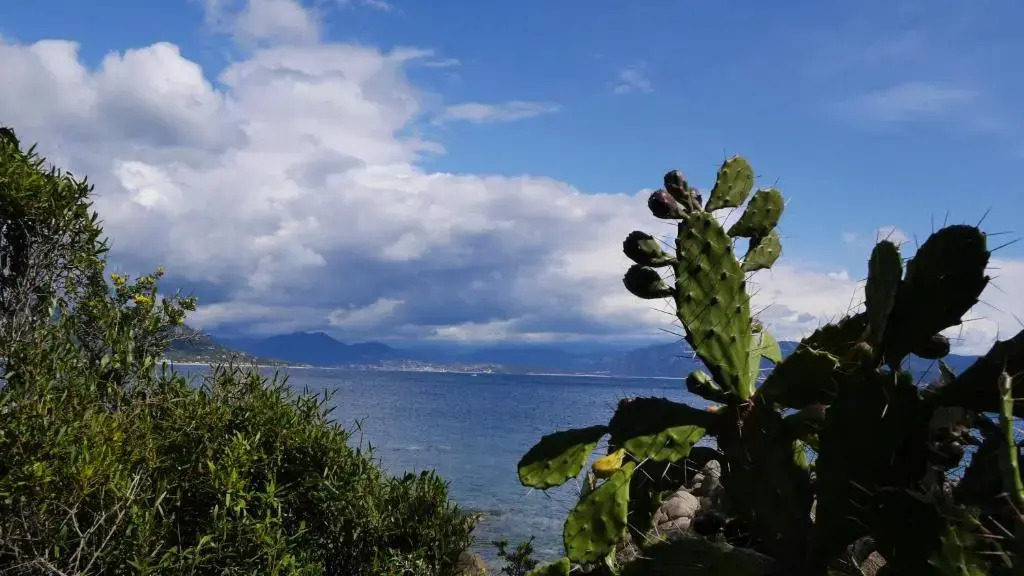 Villa les Figuiers