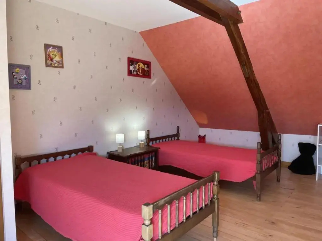 Maison de campagne avec animaux acceptés à Nizerolles - FR-1-489-137