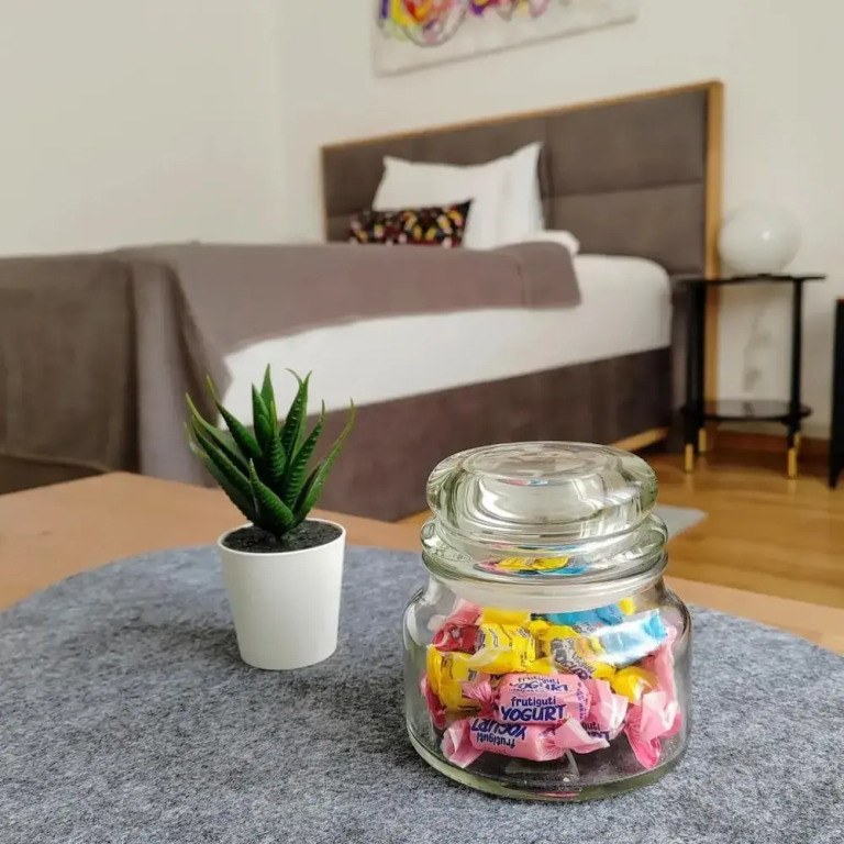 S15 Studio Apartment Zagreb Croatia-free Parking