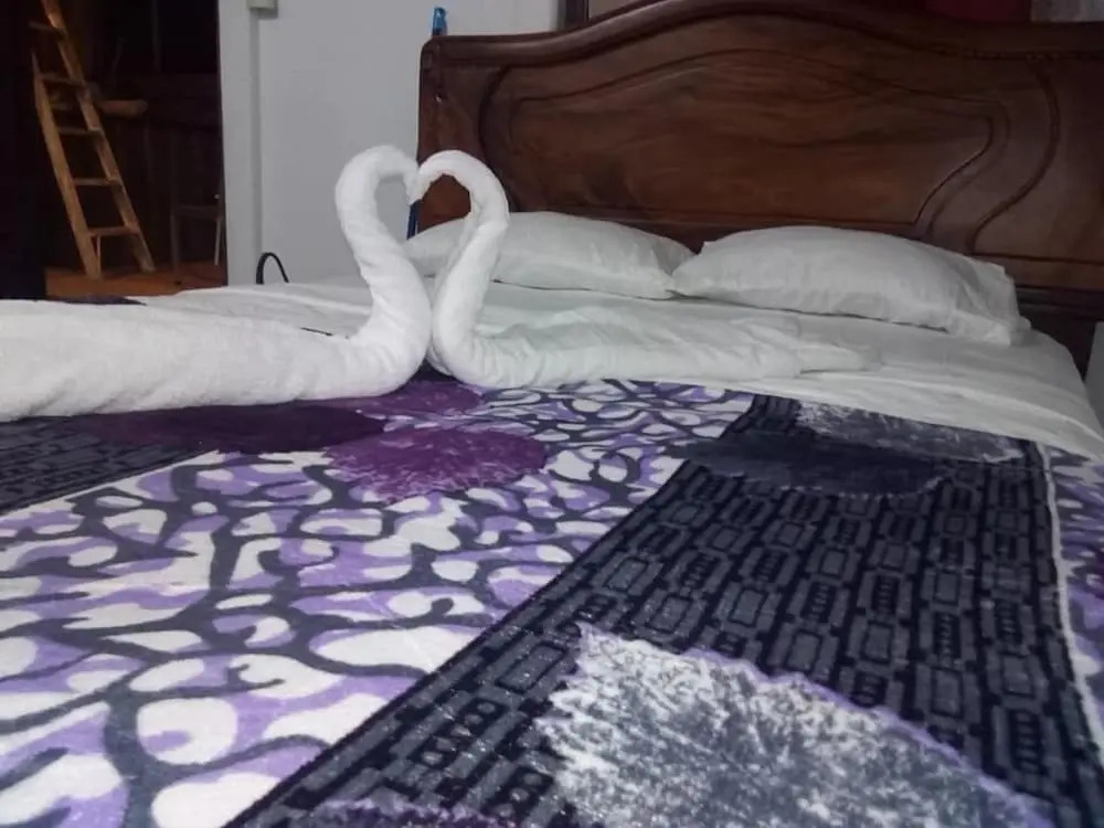 Palacios Arenal - Hostel