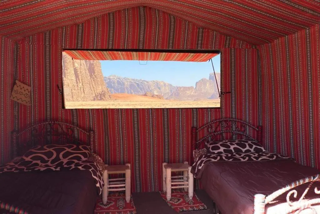 Momoo's Camp