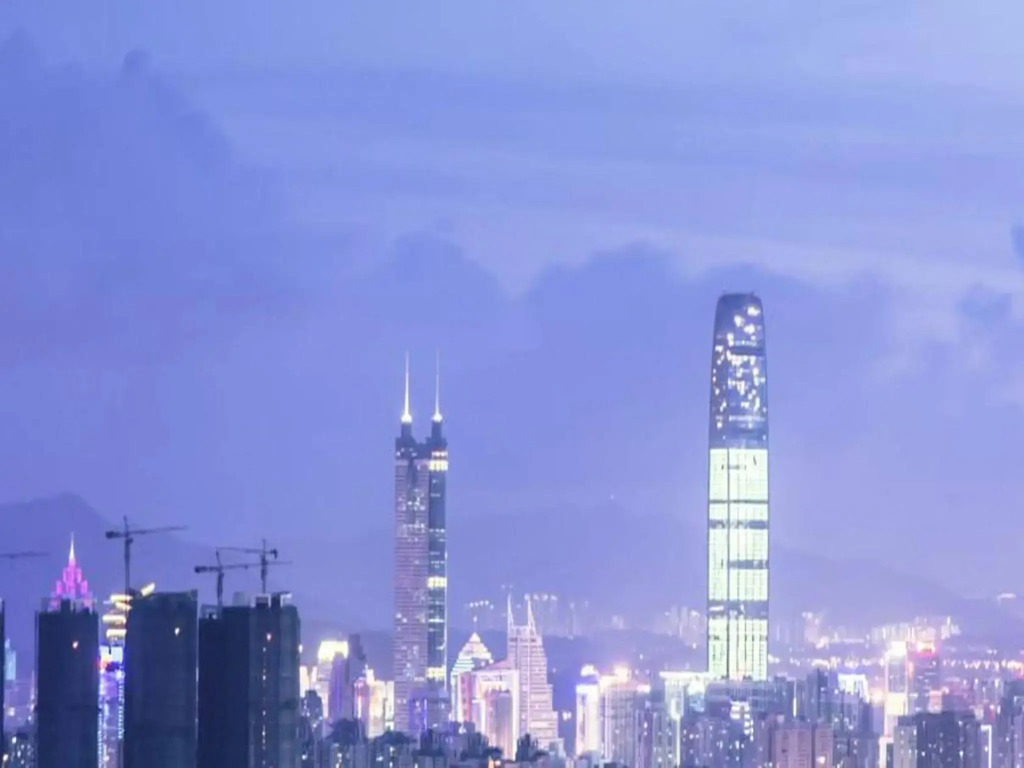 Shenzhen The Bauhinia Hotel