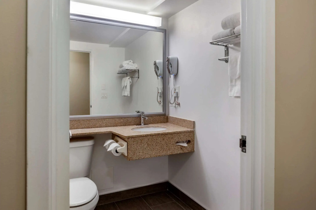 EconoLodge Downtown Toronto