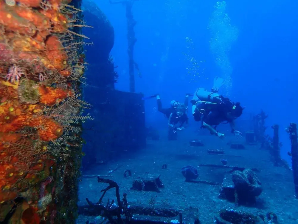 Agave Azul - Grand Cozumel, Hotel and Diving