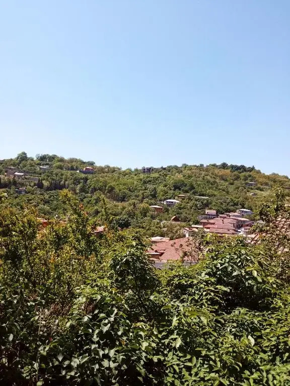 Kizikis Kari