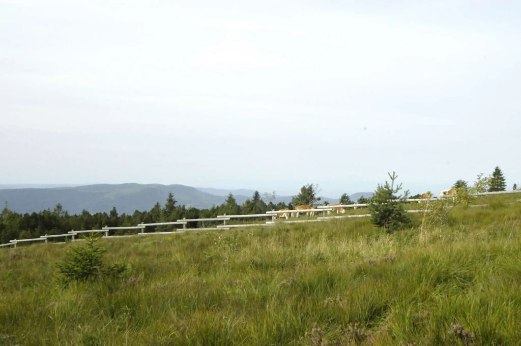 Wellness-& Nationalpark Hotel Schliffkopf, BWSC