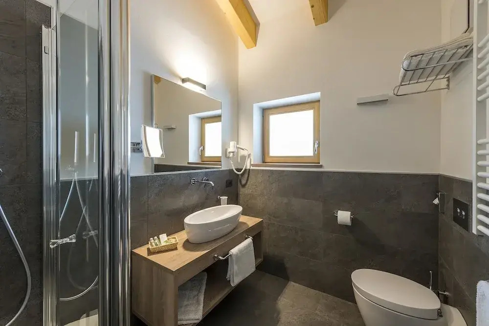 Chalet Aster