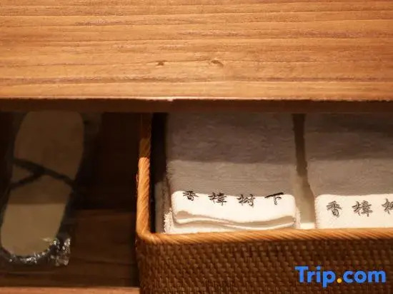 Under the Camphor Tree Guesthouse