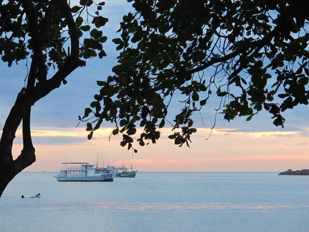 Flora I Talay