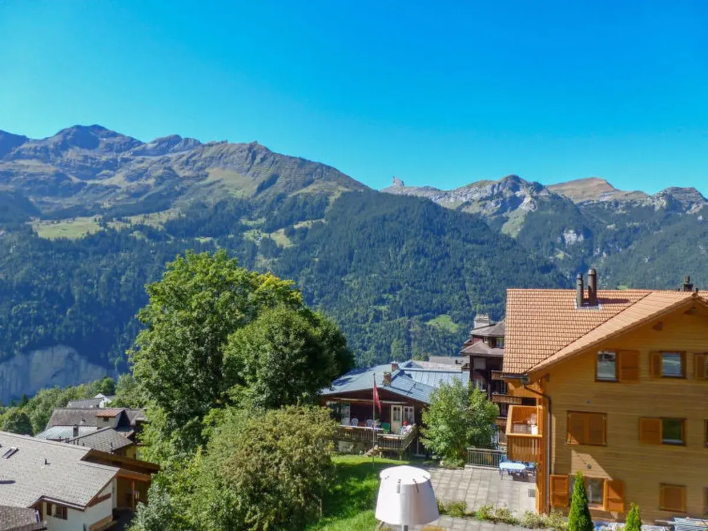 Silberhorn 41079