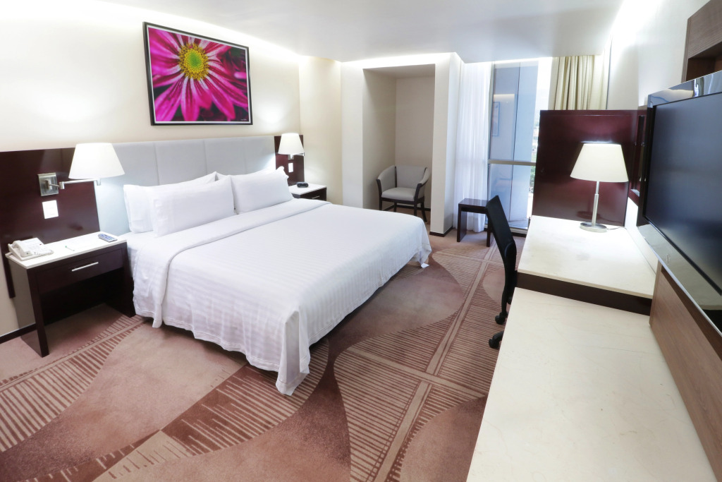 Holiday Inn Mexico City - Trade Center by IHG