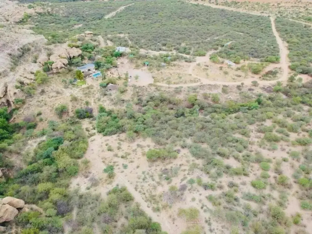 Sasa Safari Camp & Tours