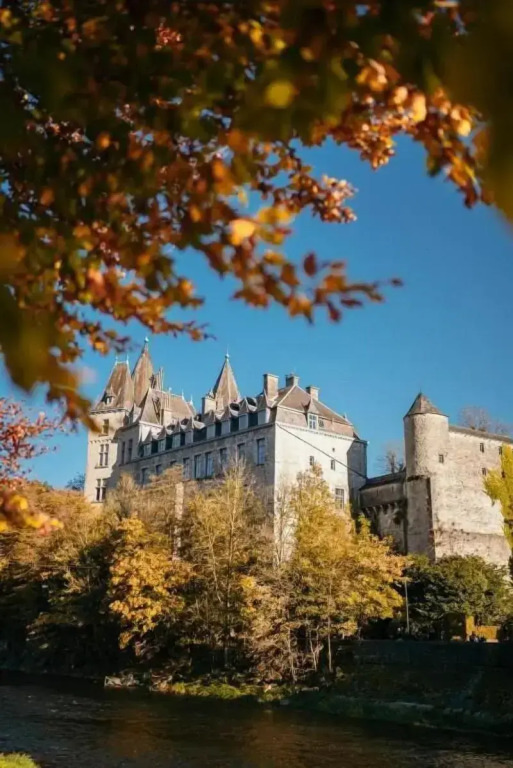 Hôtel Le Sanglier des Ardennes