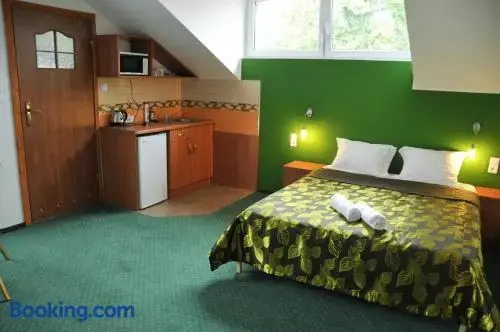 Willa Stenia Center Apartamenty
