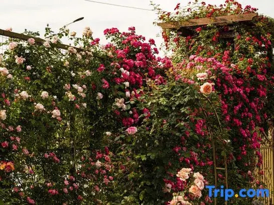 Huangshan Yefu Garden Homestay (Huangshan North Gate Branch)