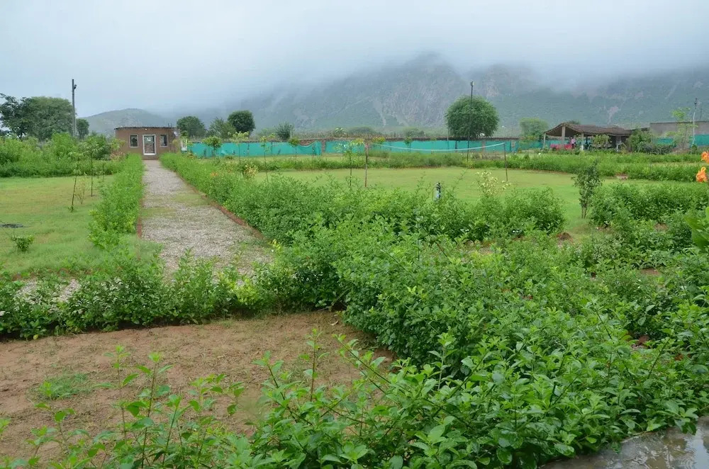 The Tiger Hill Sariska Resort