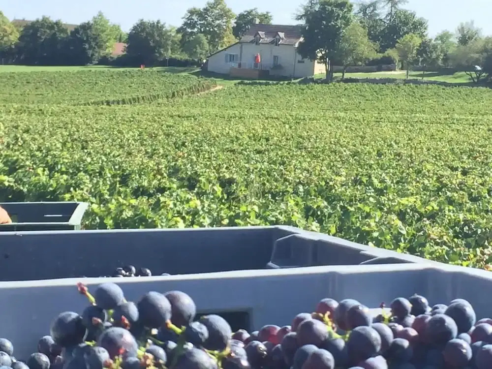 La Maison du Grand Four en Bourgogne, Au coeur de Vignes, Piscine et Sauna