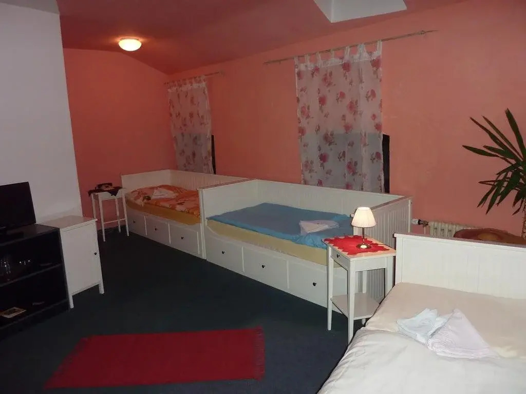 Hotel Savorsky