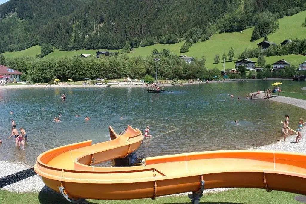 Haus Dachstein Schnitzer
