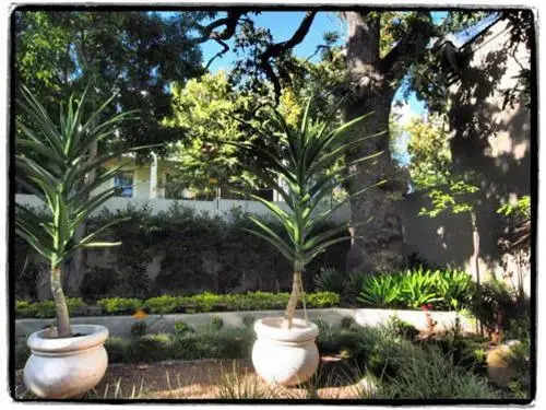 Conifer Cape Guesthouse