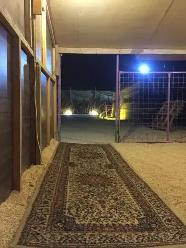 Chadelya Camp