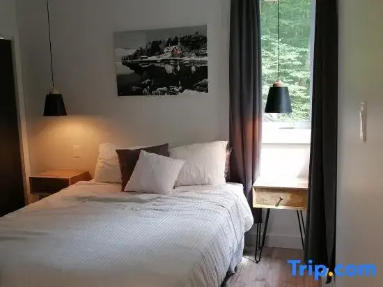 Loft in the Mountains, Near Bromont