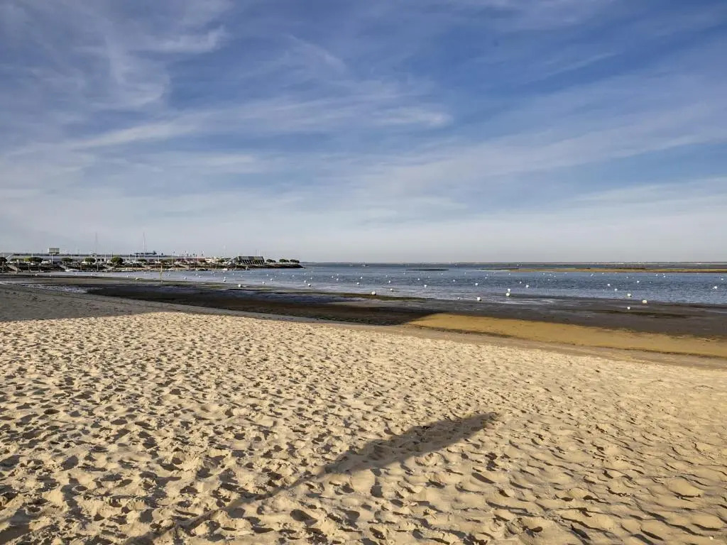 Appartement Arcachon, 2 Pièces, 4 Personnes - Fr-1-474-19