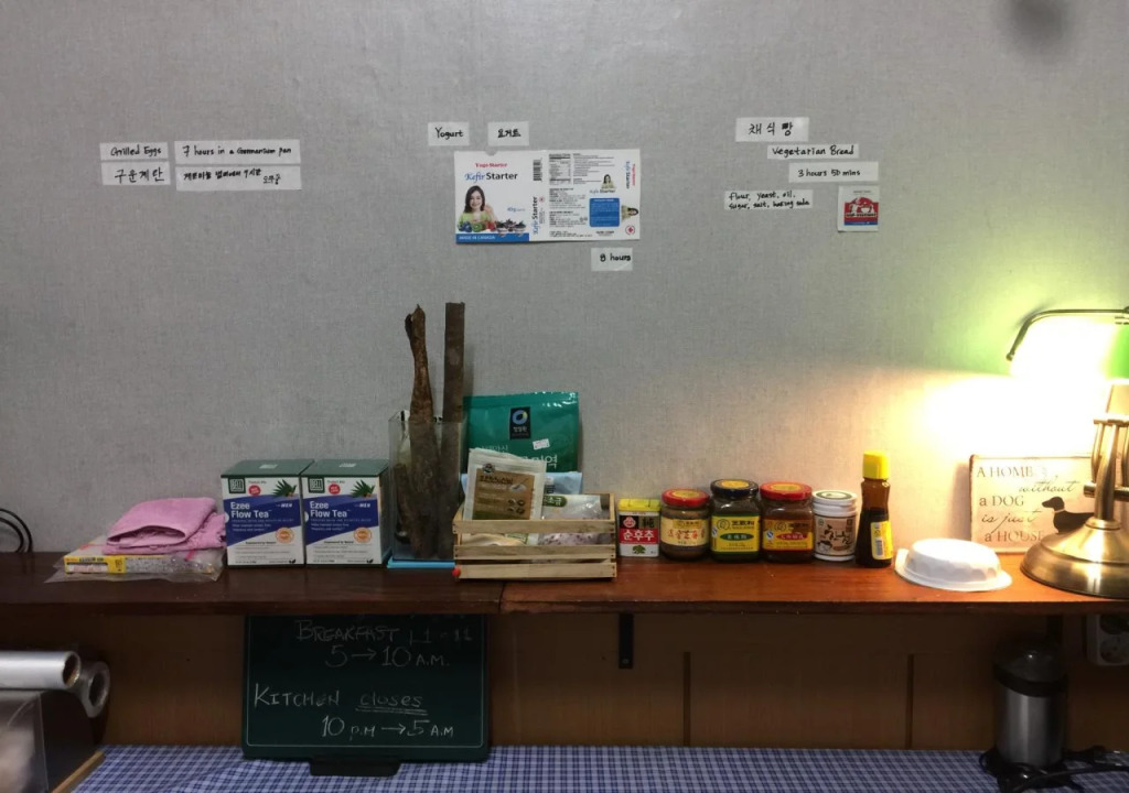 Backpackers in Jeju City Center