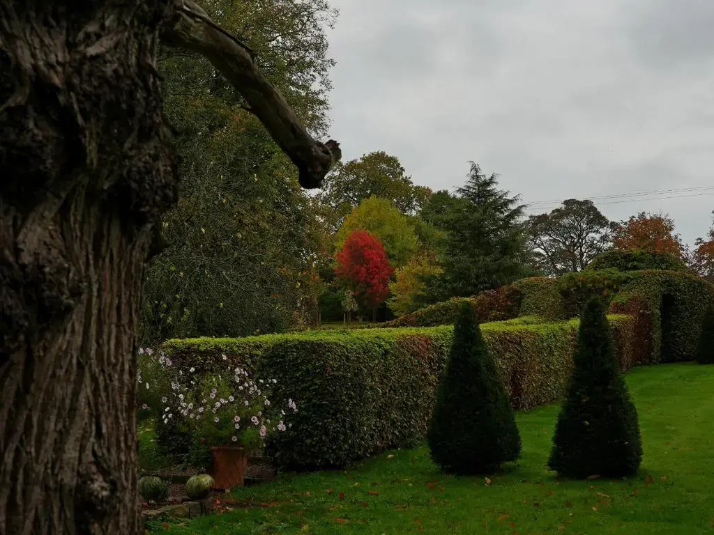 Dean Hall, Littledean